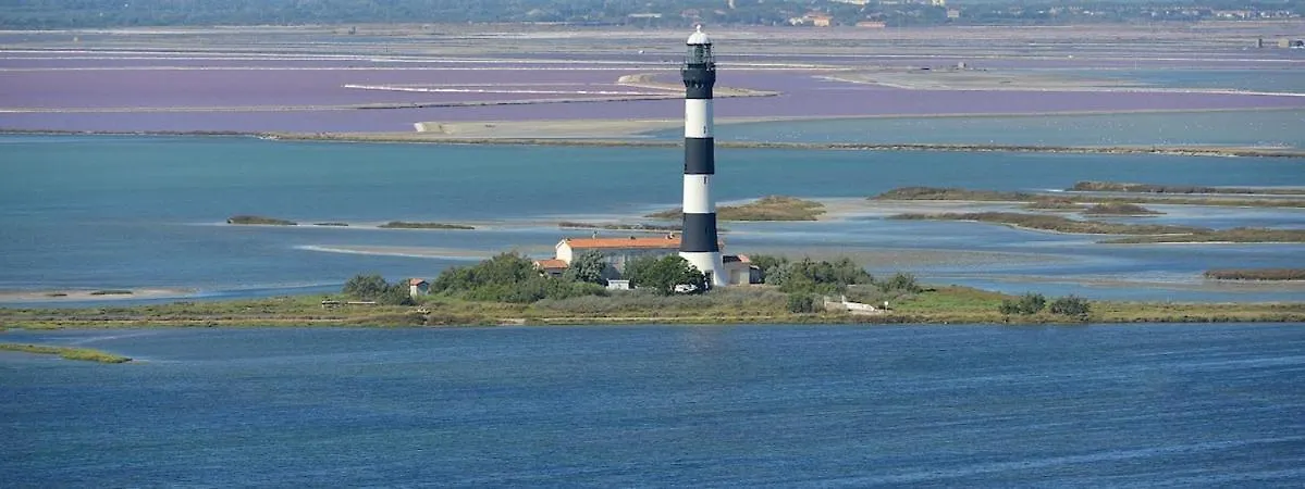 Camargue - La Saline Forezienne - Salin-De-Giraud France